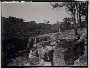 Ebor Falls 1/4 mile from Trunk Road 76