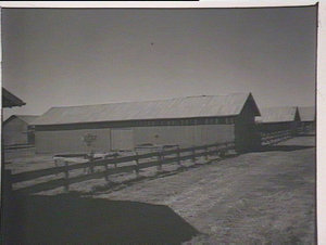 Grafton Experimental Farm, storage sheds