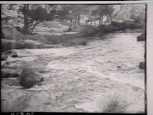 Trout fishing on the Fish River, Oberon