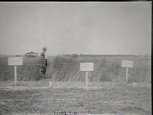 Glen Innes Farm, Dec.1921. Wheat variety trials