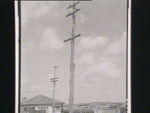Electric light pole at Bankstown