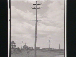 Electric light pole at Bankstown