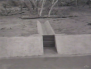 Coomealla Dam
