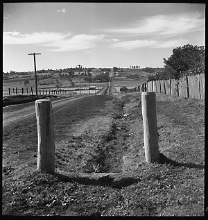 File 04: Landscape, Hunter Valley?, 1960s / photographe...