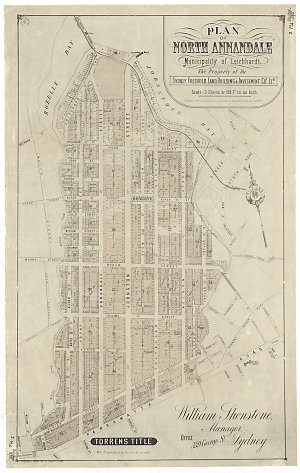 Plan of North Annandale [cartographic material] : munic...