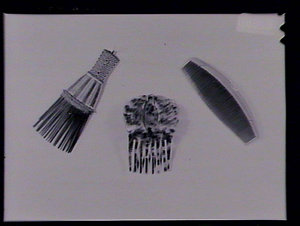 Native combs from New Guinea