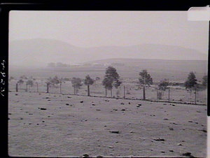 Scone Research Station