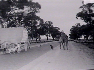 Aborigines Welfare Board, tour of south & western NSW
