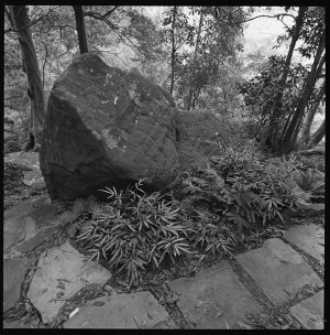 File 08: Stone paving, Castlecrag, 1986 / photographed ...