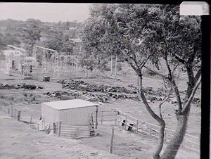 Scrap iron yard at Katoomba