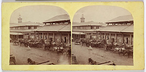 Stereographs of views in Sydney, Port Stephens, Raymond...