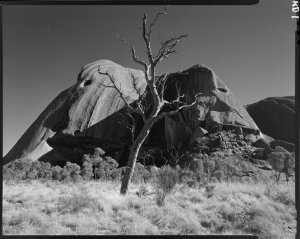File 35: Ayers Rock, 1984 / photographed by Max Dupain
