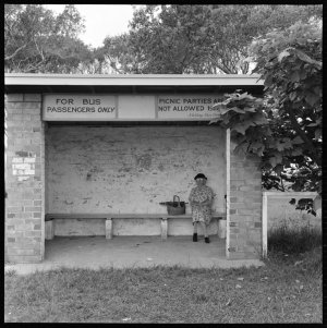 File 63: [Bus shelter, Toowoon Bay, 1960s] / photograph...
