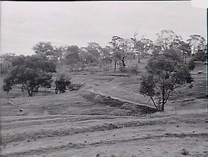 Albury & Wagga Wagga Districts
