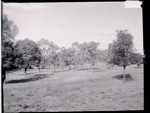 Tamworth District (Manilla)