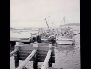 Fishermen's Wharf, Nelson Bay
