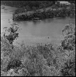 File 01: M.D. [Max Dupain] regatta, Bantry Bay [ca 1947...