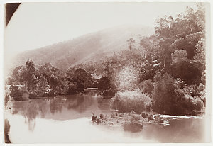 Photographs of the Perkins family, Morwenstowe Homestea...