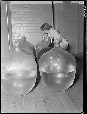 File 01: Carboys at dissolved vaccines, [ca 1942-1943] ...