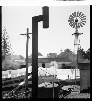 File 40: Backyard at Forster, 1940s / photographed by M...