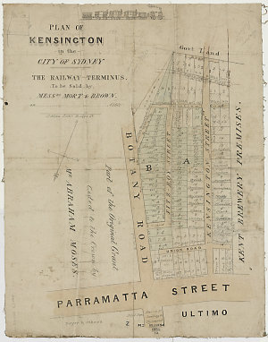 Plan of Kensington in the city of Sydney [cartographic ...