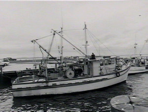 Fishermens Wharf - Nelsons Bay