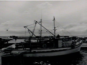 Fishermens Wharf - Nelsons Bay