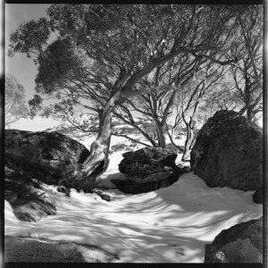 File 12: Smiggin Holes landscape, 40s  / photographed b...