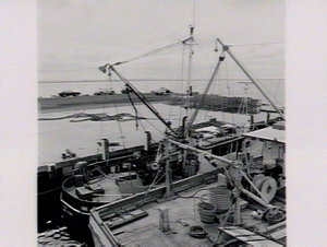 Fishermens Wharf - Nelsons Bay