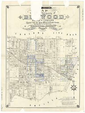 Map of the municipality of Burwood, parish of Concord [...