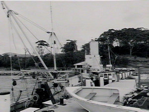 Fishermens Wharf - Nelsons Bay