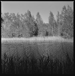 File 21: Narrabeen Lake, 1970s-1980s / photographed by ...