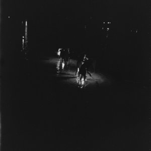 File 12: Night prawning, Kims, '85-'87 / photographed b...