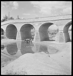 File 01: Richmond Bridge, Tasmania, 1946 / photographed...