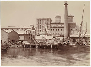 The Colonial Sugar Refining Co.'s Works, Pyrmont, Sydne...