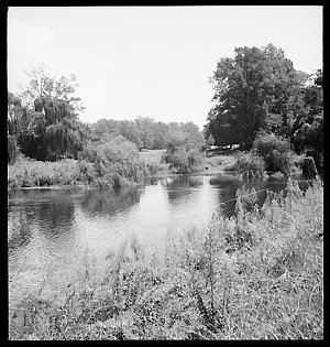 File 40: Collector Creek, Nov '57 / photographed by Max...