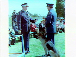 Passing out parade for Depts new 'sniffer' dogs and han...
