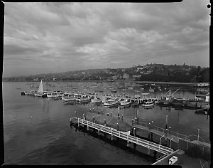 File 12: View from Goodman's res., Rose Bay, Point Pipe...