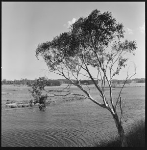 File 08: Mittagong, Moss Vale, November 1965 / photogra...