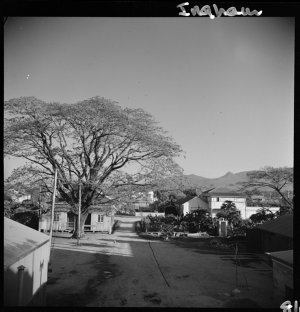 File 08: Ingham, Nth Qld [North Queensland, ca 1943-195...