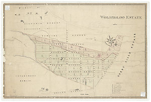 Wolomoloo Estate [cartographic material] / W. Meadows B...