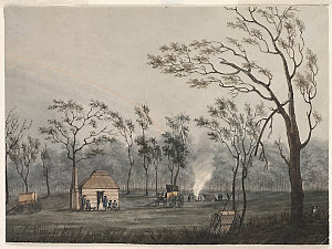 View of the Government Hut at Cowpastures / 1804