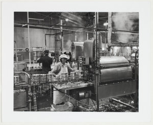 Fruit processing industry at Batlow, 1997 / photographe...