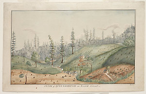 A view of Queenborough on Norfolk Island / by I. Eyre