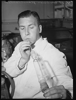 Wilhelmus Tip - glass blower, Canberra, August 1954 / p...