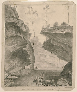 Part of Cox's Pass, New South Wales / by E. Purcell