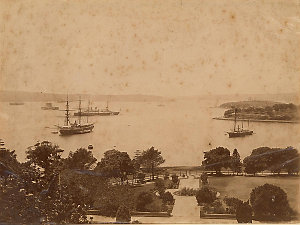 [View of Sydney Harbour and Government House grounds] /...