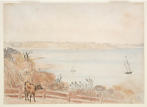 Potts Point from Darling Point, 1842 / John Rae