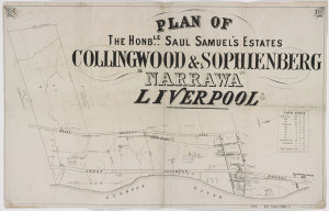 Plan of the Honble Saul Samuel's estates Collingwood an...