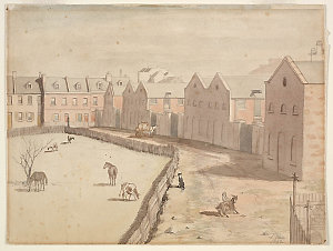 Stables of Lyons' Terrace, Macquarie St south, 1842 / J...
